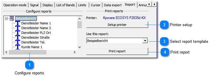 Printing a report