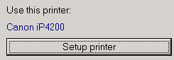 3. Printer setup